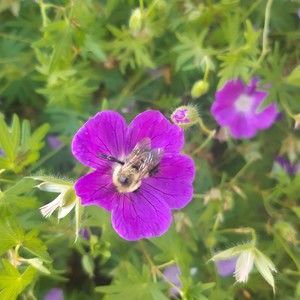 Meet your Posher, Sandra